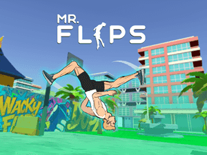Mr Flip